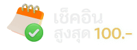 icon13